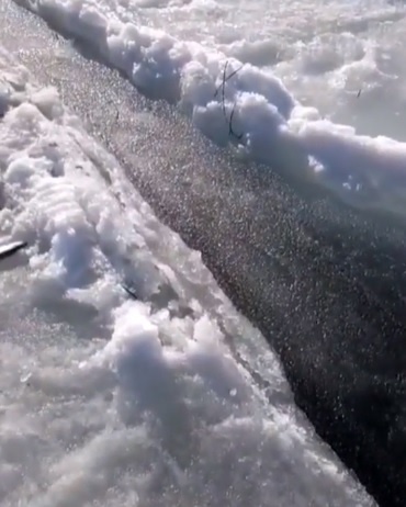 Кадры из видео: Instagram @fishing_island_sakhalin