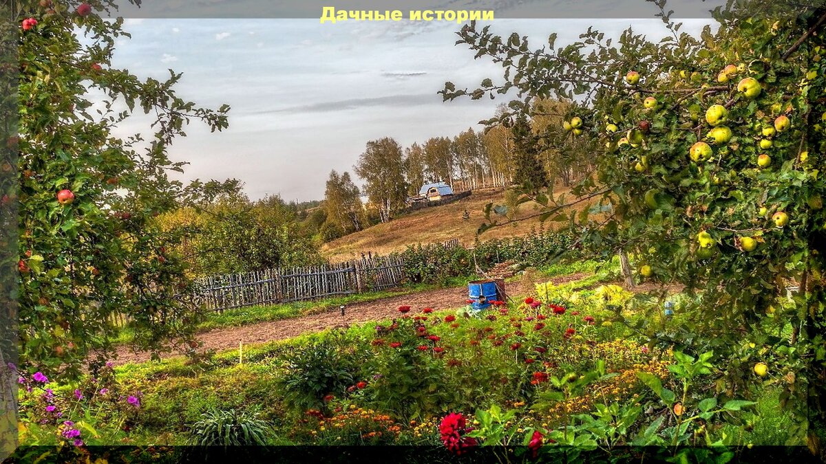 https://vk.com/photo-159774511_457243398