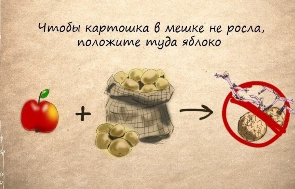 Хитрости жизни в картинках