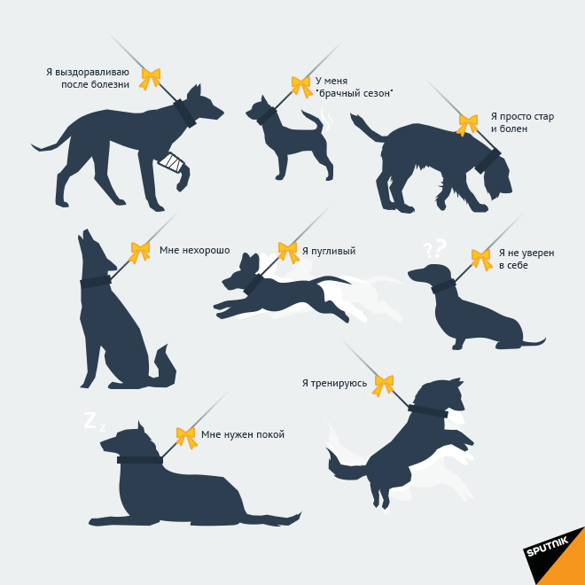 один  из примеров  такой картинки   с  сайта sputniknews.ru