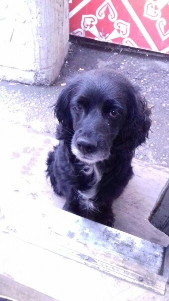 Принц, на входе той самой двери