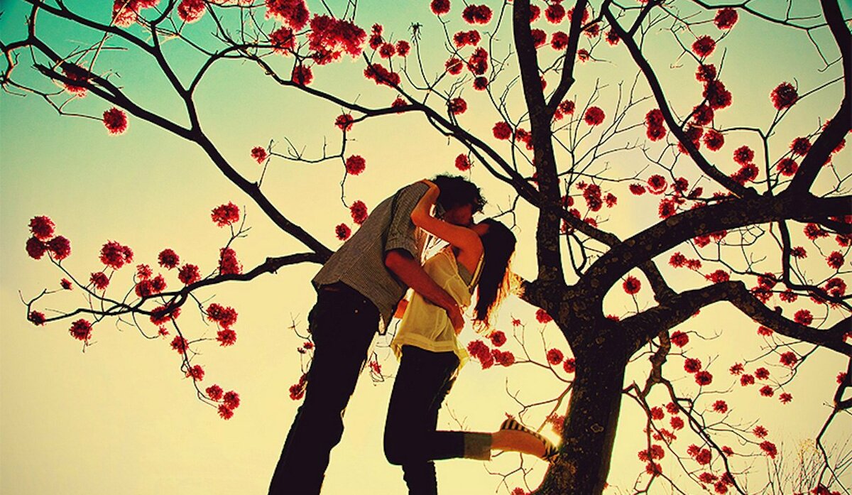 Любовь под деревом