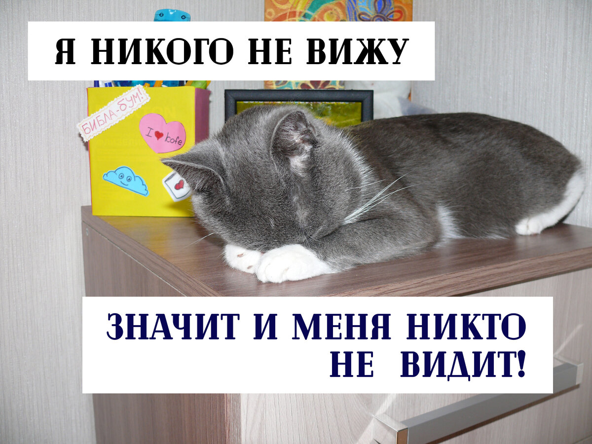 Марсик спрятался