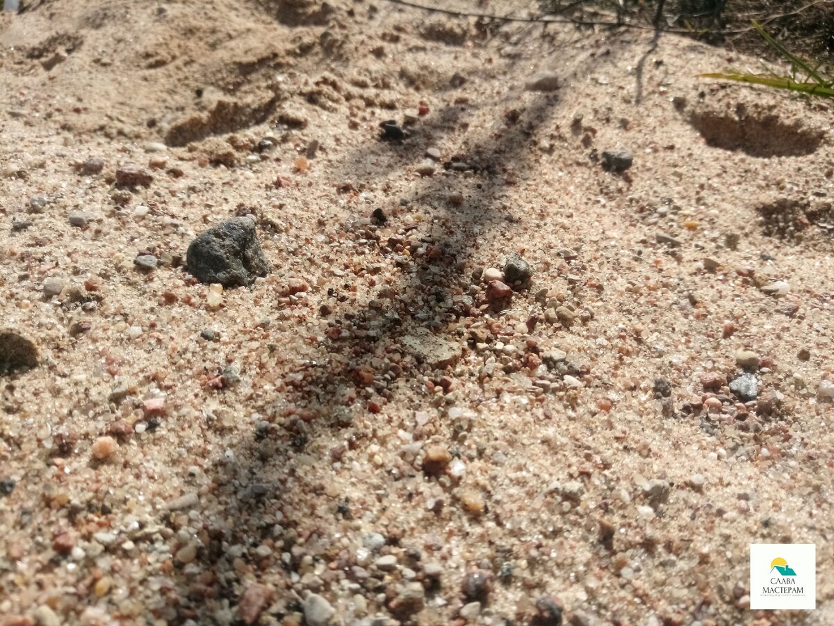 А это куча песка из моего двора. Лежит, расходуется по мере необходимости, ну и  органики там уже много - сверху растения селятся, корни  во всю пускают.