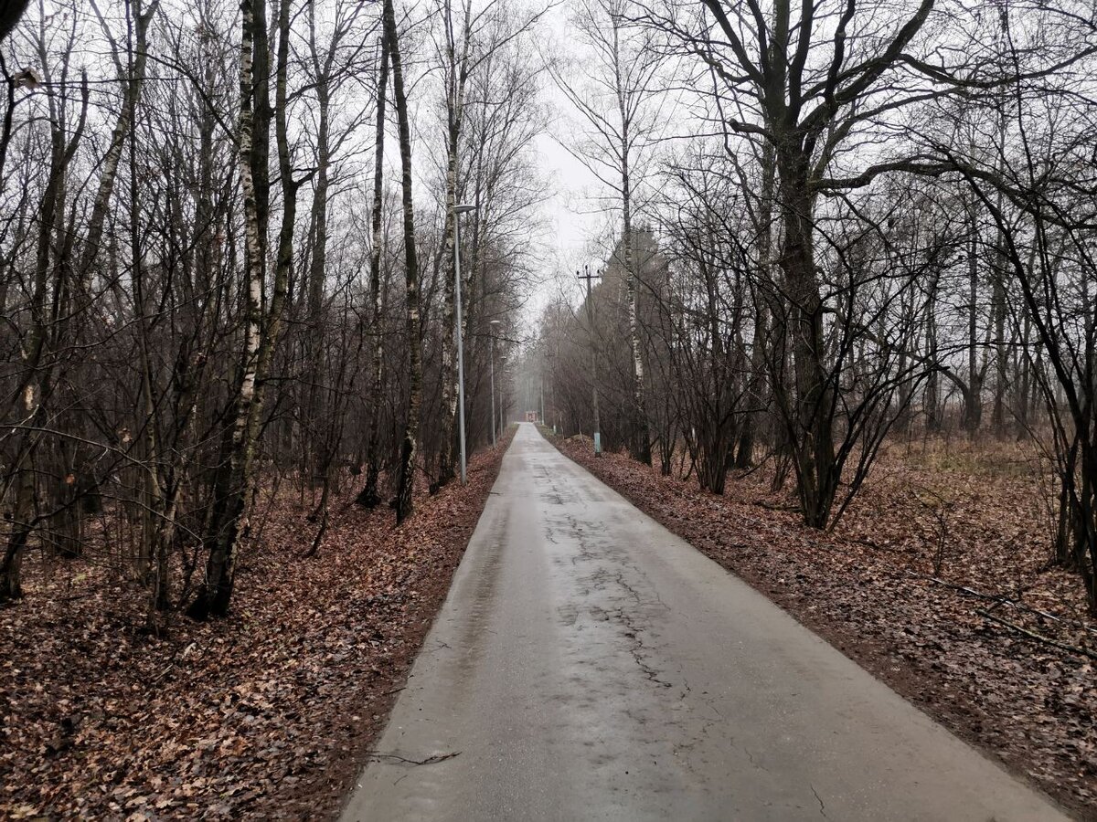 Впереди видна кирпичная ограда полигона
