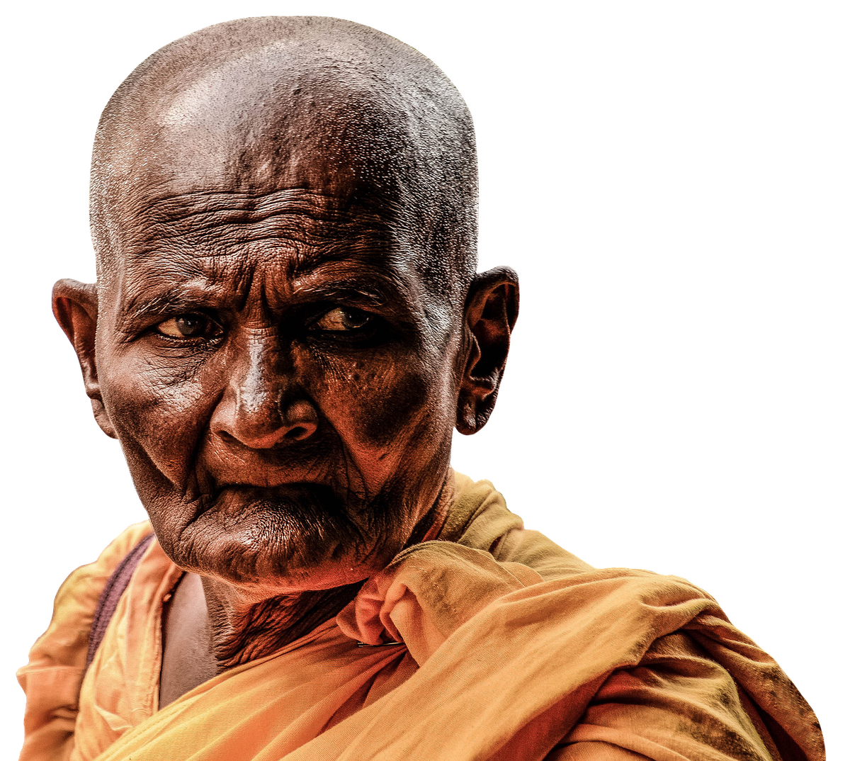 Картинка была взята на бесплатном фотостоке pixabay