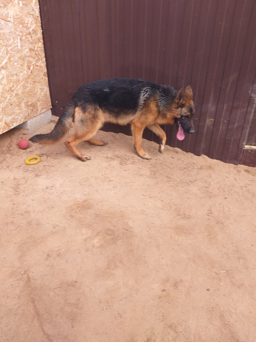 Первые фото сделанные во время знакомства