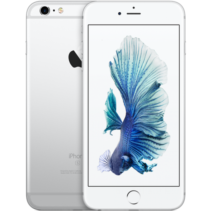 iPhone 6