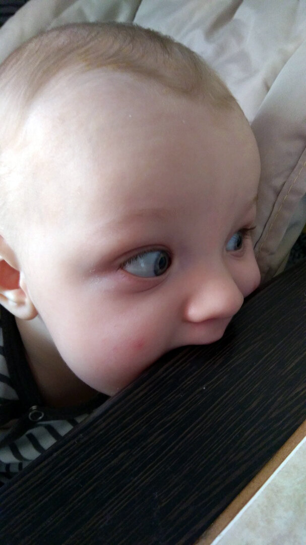 Какая вкусная деревяшечка