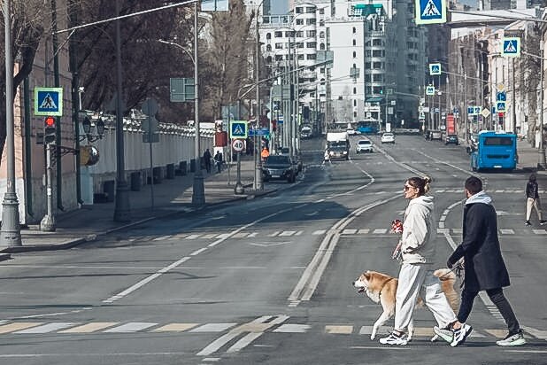 Фото взято из  Интернета