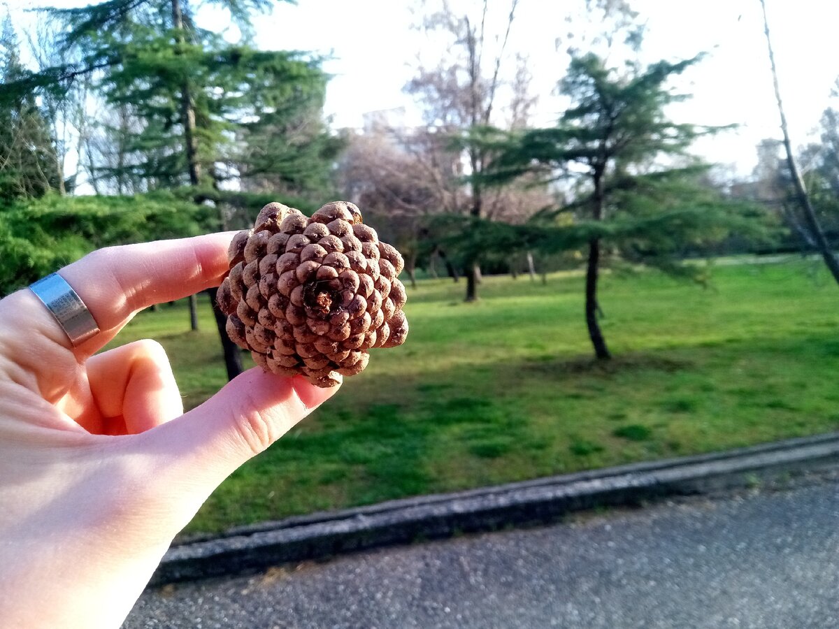 Фото из личного архива Ильи Соколова (с)