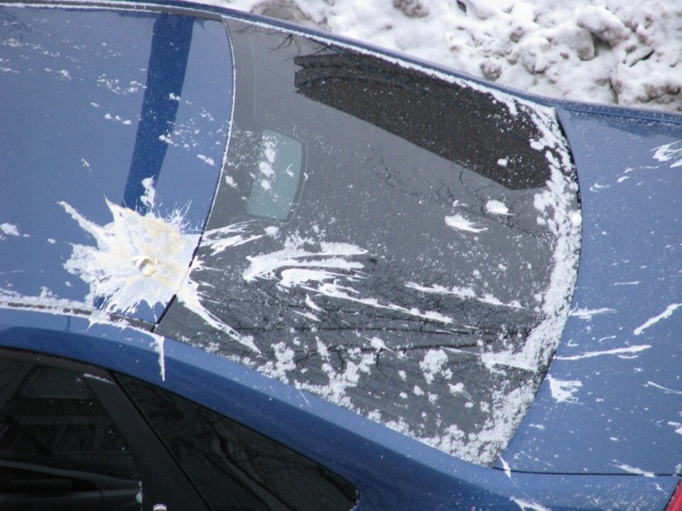 Утренний привет. Яндекс картинки.