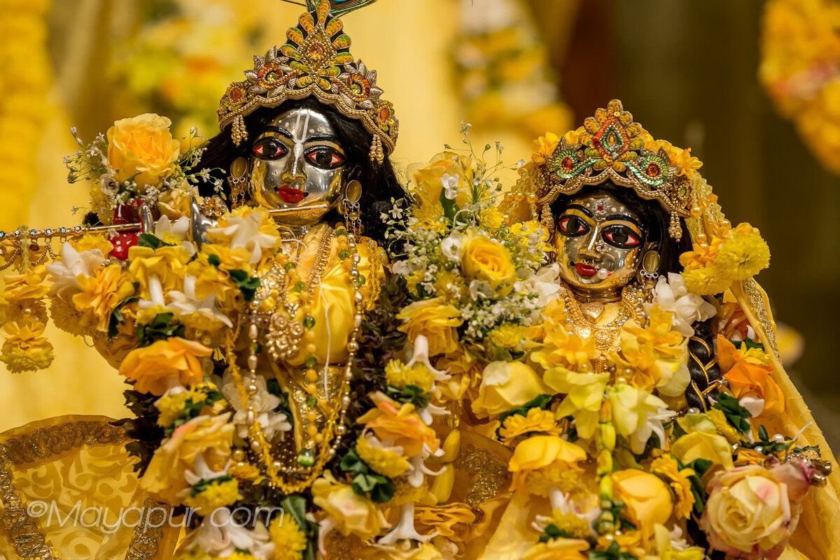 Источник фото: https://www.vioms.ru/mailings/17412