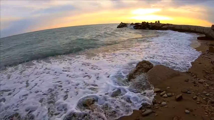 морят видео