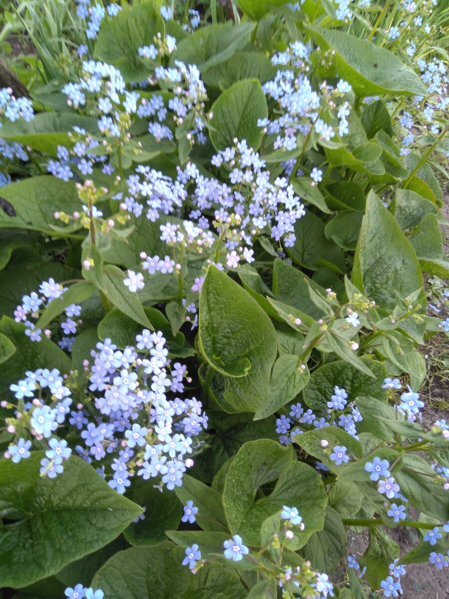 Фото автора.