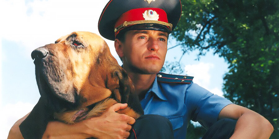 Фото взято с сайта https://www.anews.com