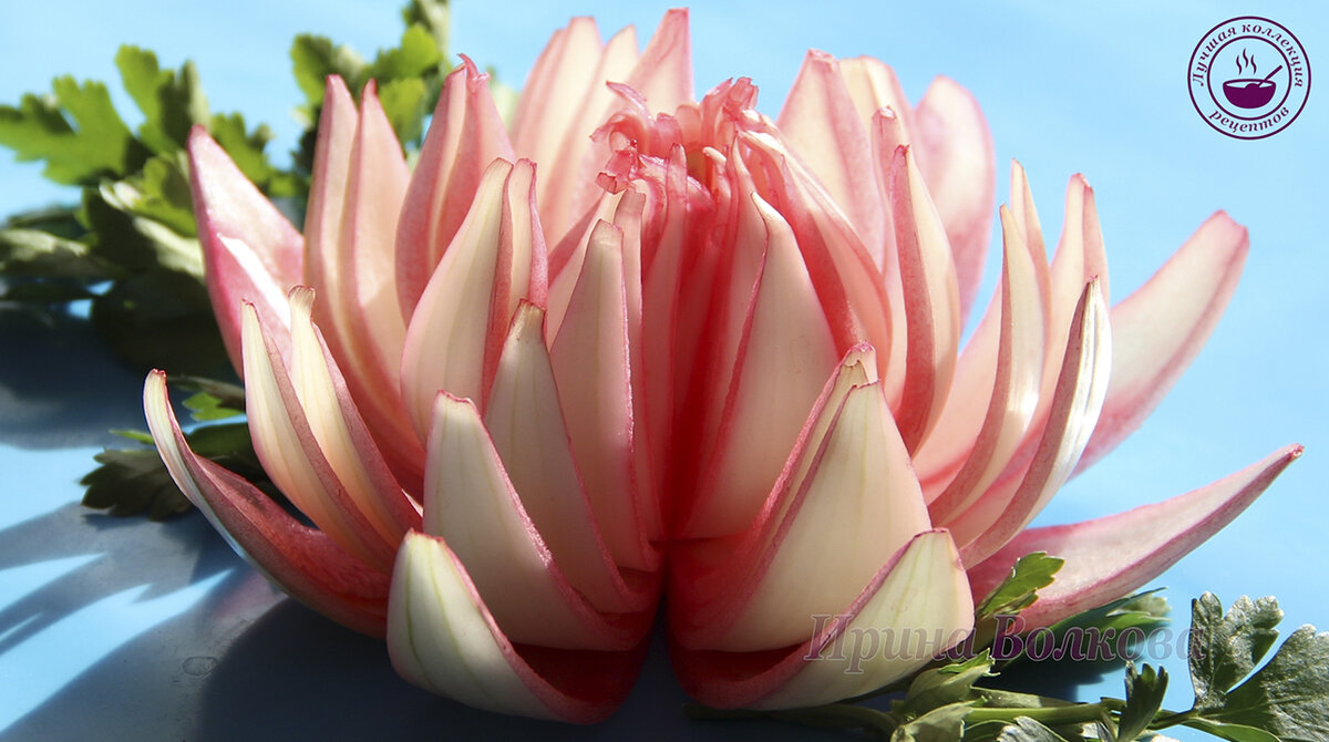 Лотос из лука