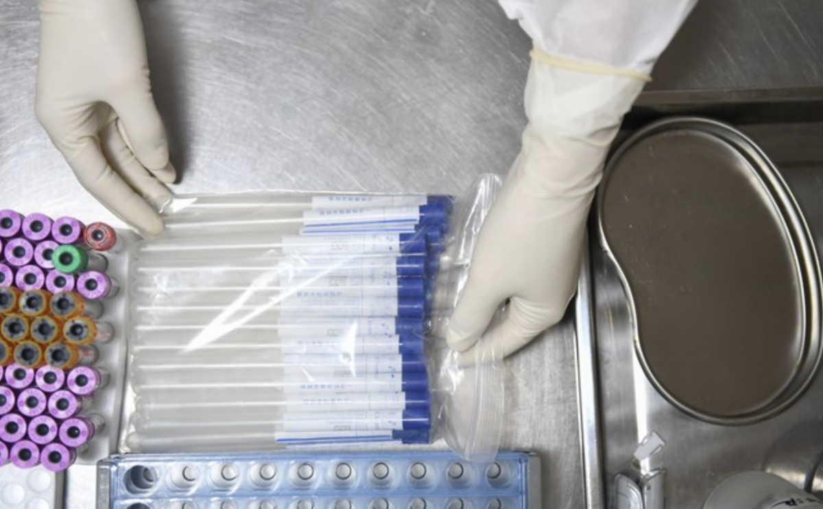 Фото яндекс