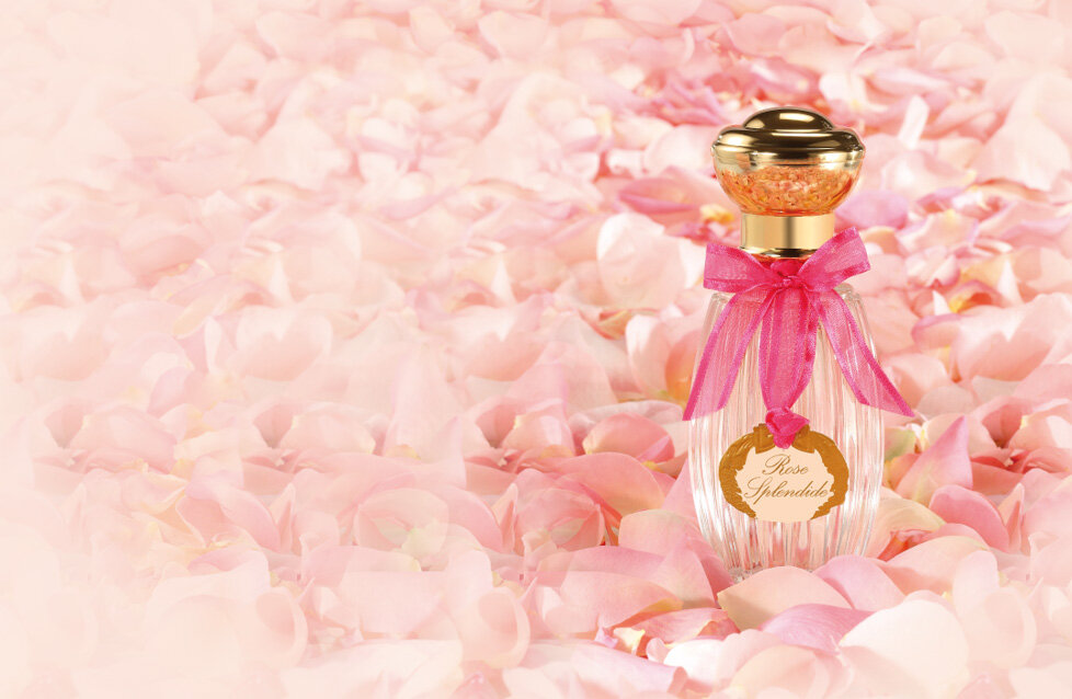 Композиция аромата включает ноты: мускус, роза, магнолия и груша. Rose Splendide был создан Isabelle Doyen и Camille Goutal.