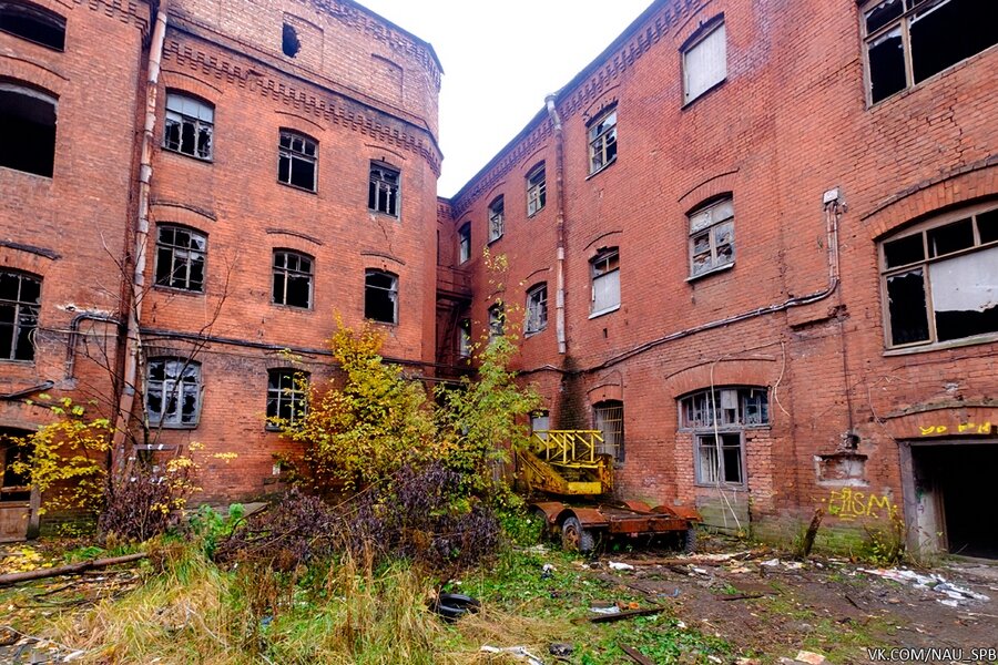 Фото с сайта https://www.save-spb.ru/