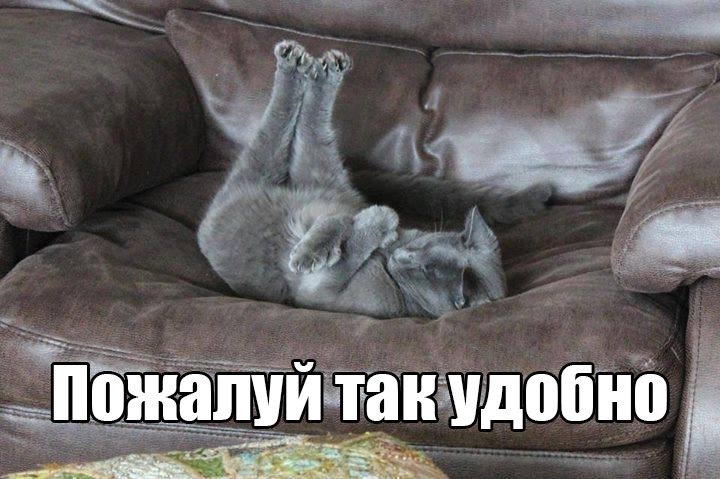 фото из интернета