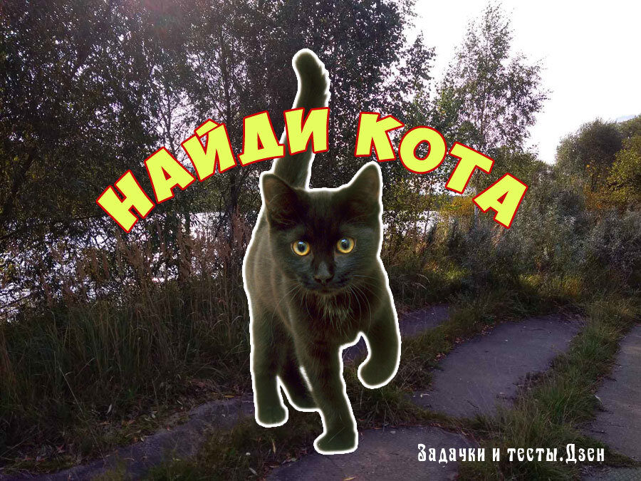 Источник: авторский коллаж канала