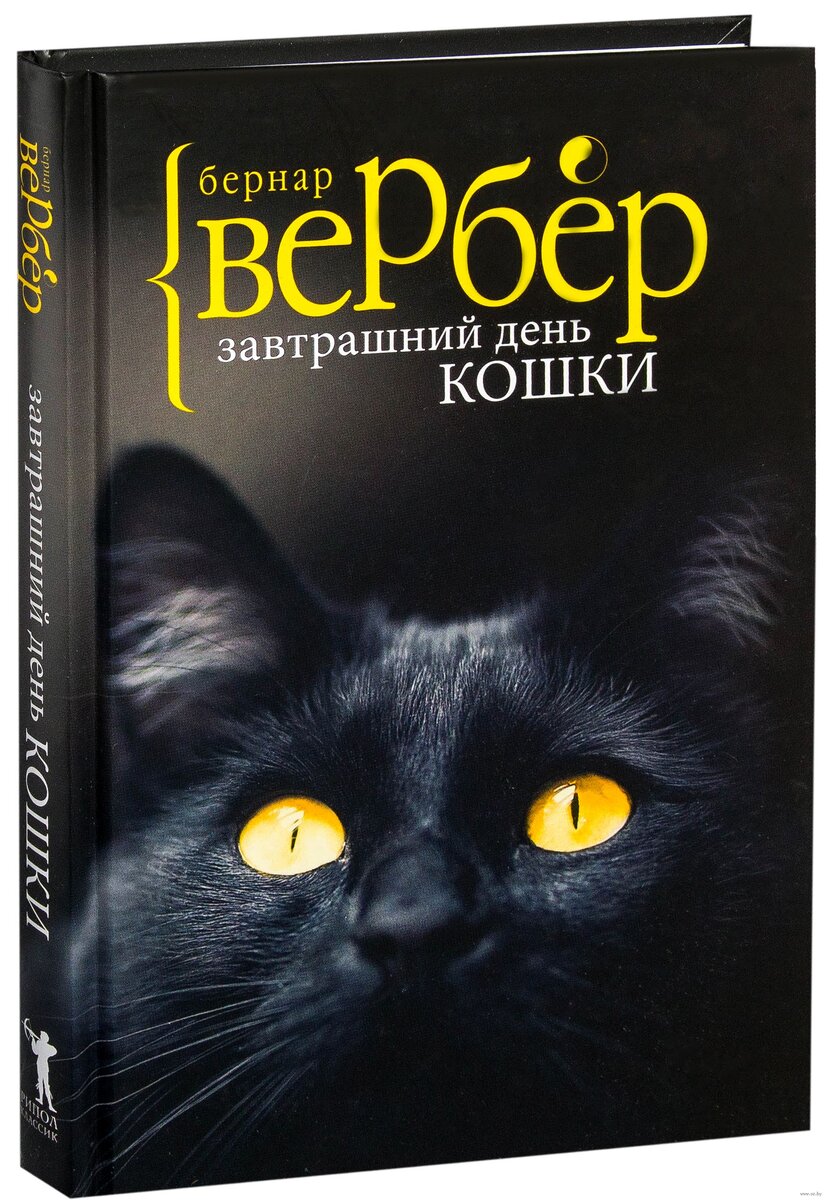 Книги, в которых главный герой - кот | Svyat&Lidia | Дзен