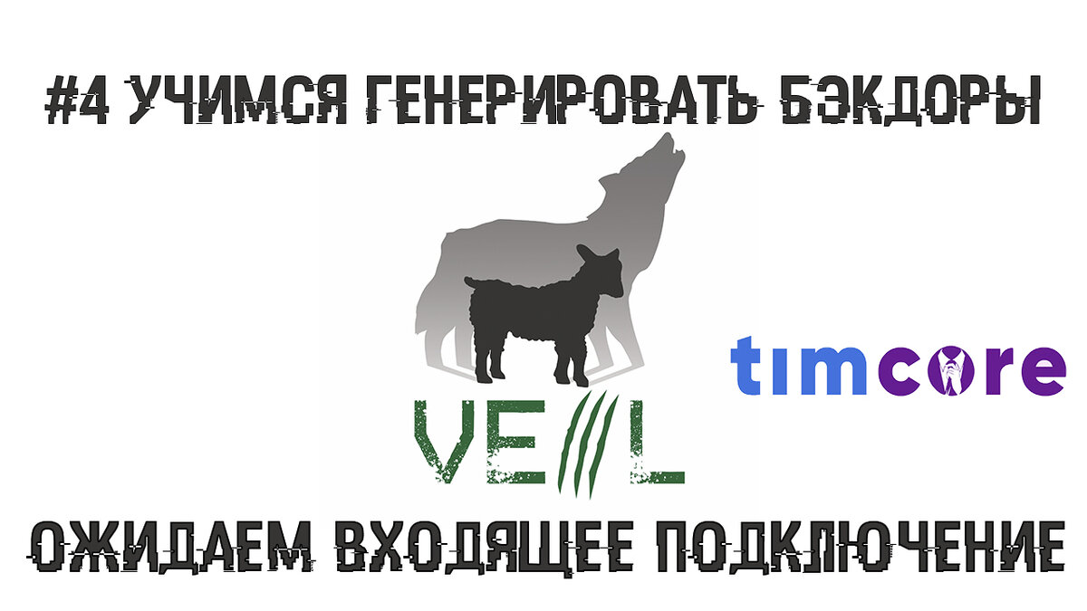 4 Учимся генерировать бэкдоры. Ожидаем входящее подключение от жертвы. |  Хакер | Этичный хакинг с Михаилом Тарасовым (Timcore) | Дзен