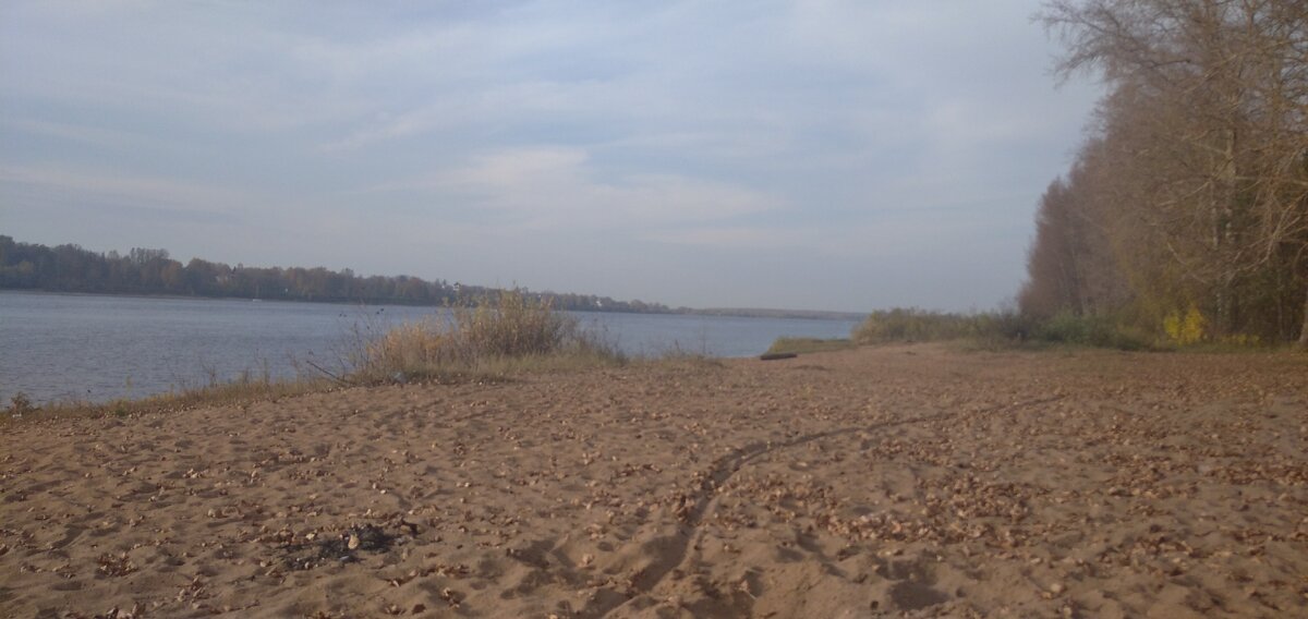 Берег реки Волги
