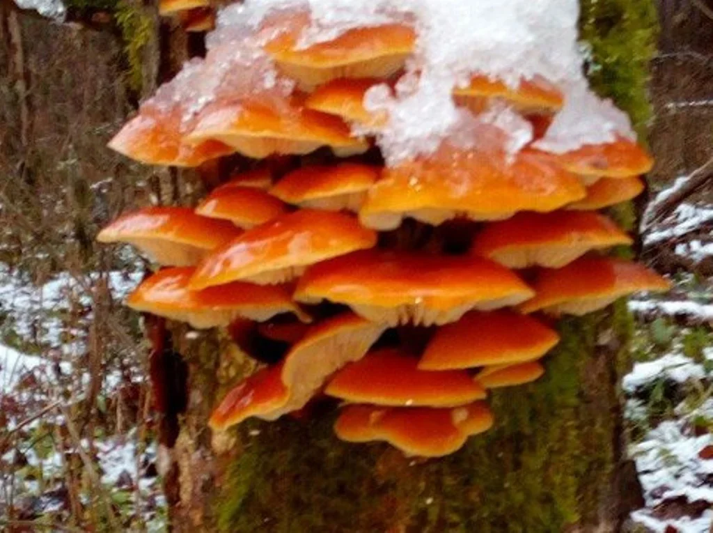 Фото из семейного архива автора