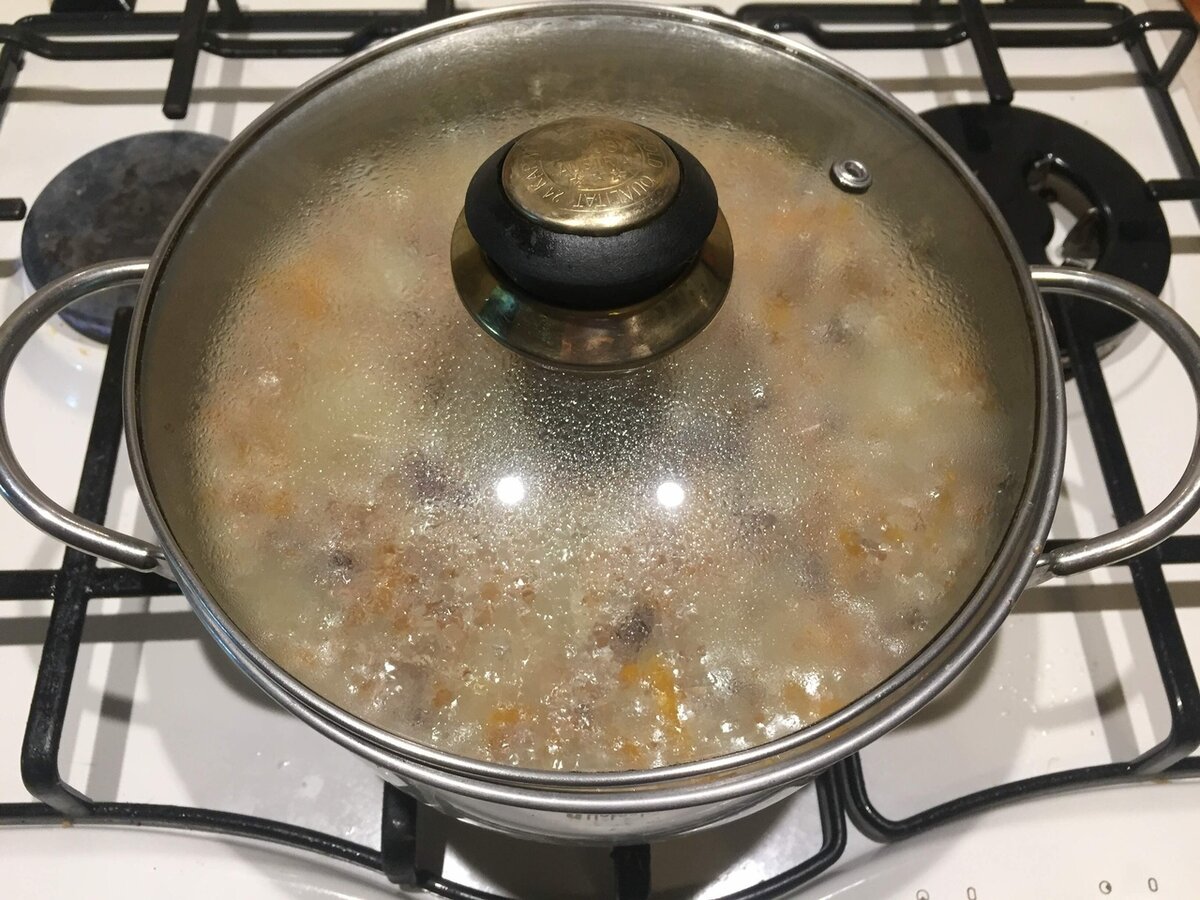 Рацион питания для щенка натуралкой. Микронутриенты в овсянке. Какое коупы можно давать собакам. Как приготовить кашу для щенка 2 месяца. Натуральная каша для собак.