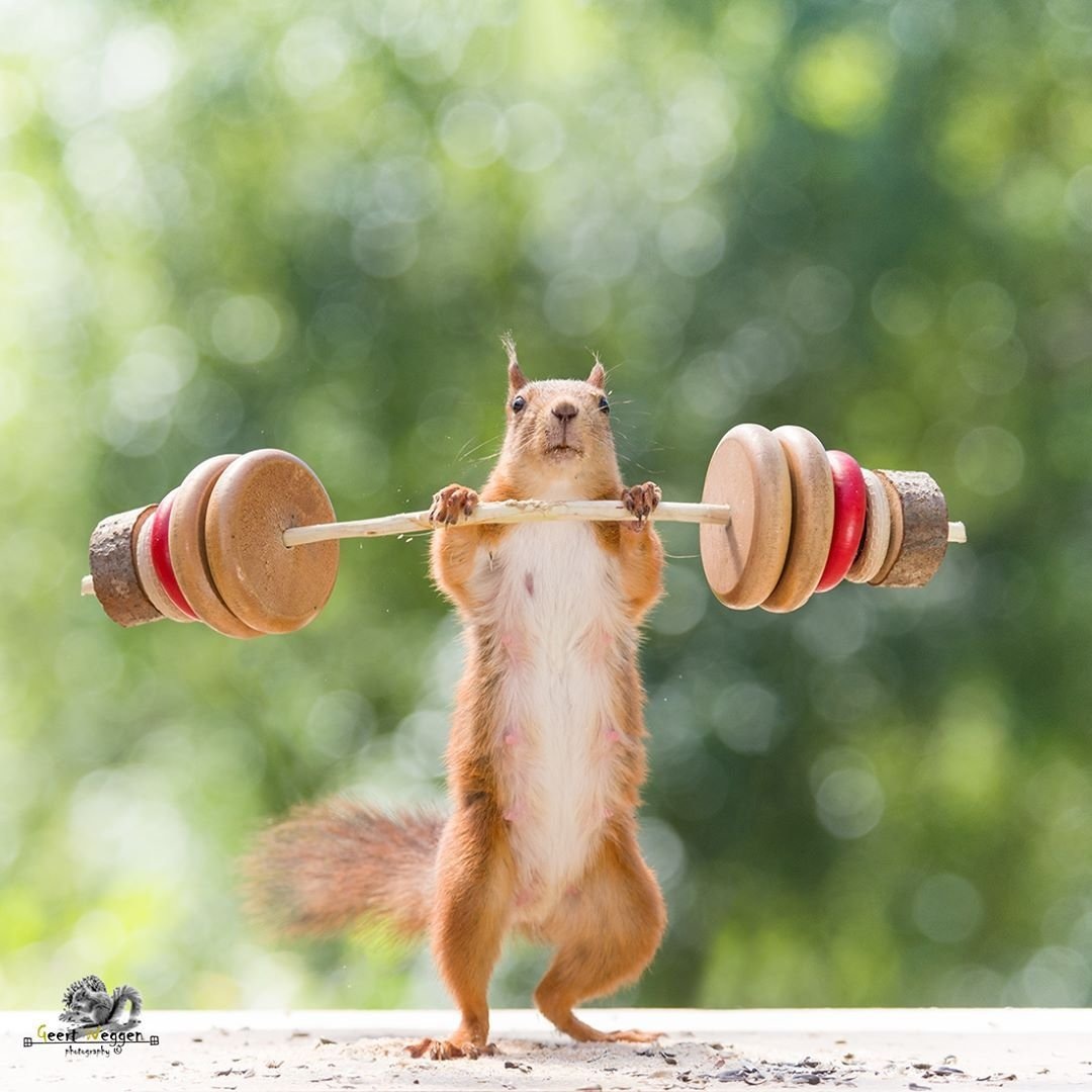 Источник: интернет. 