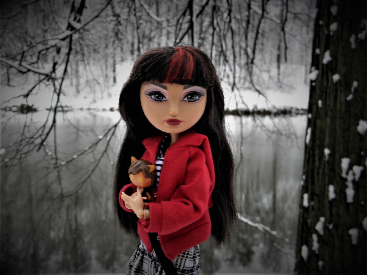 Все фотографии авторские. Ноябрь 2020.