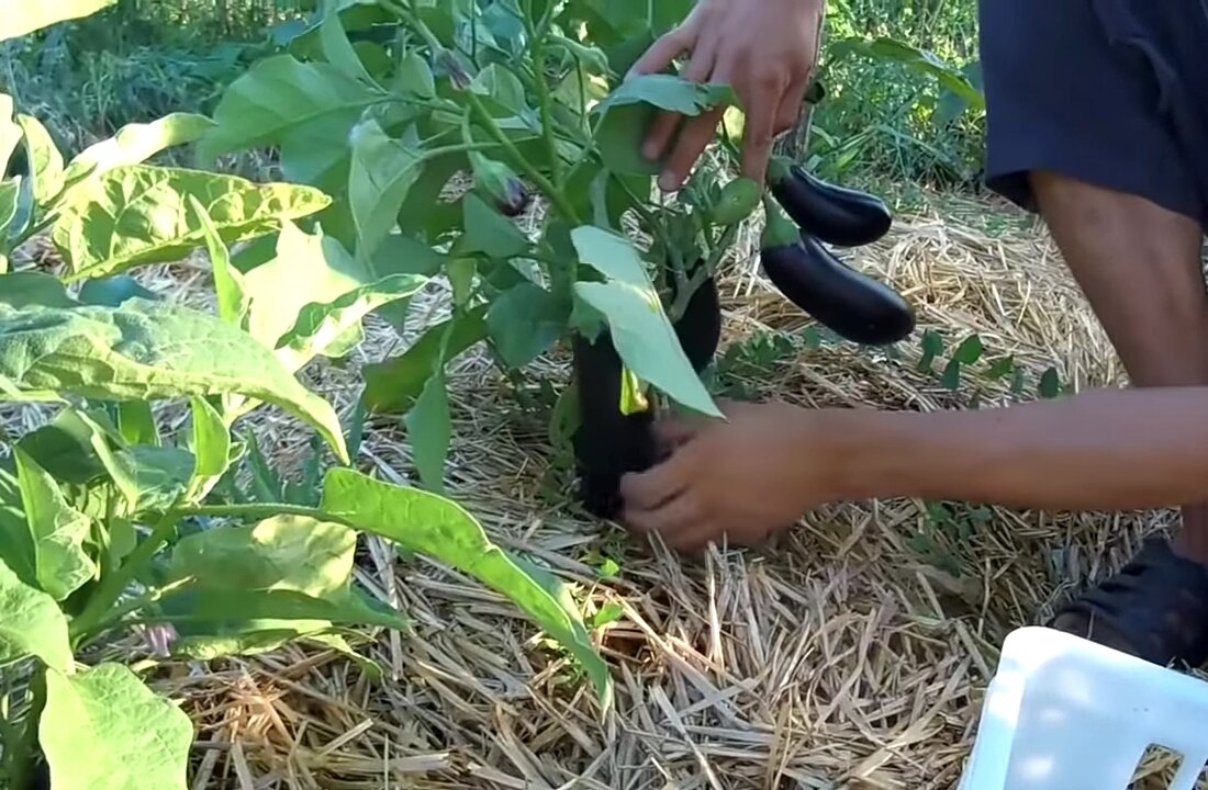 Фото сделано в 2020 г