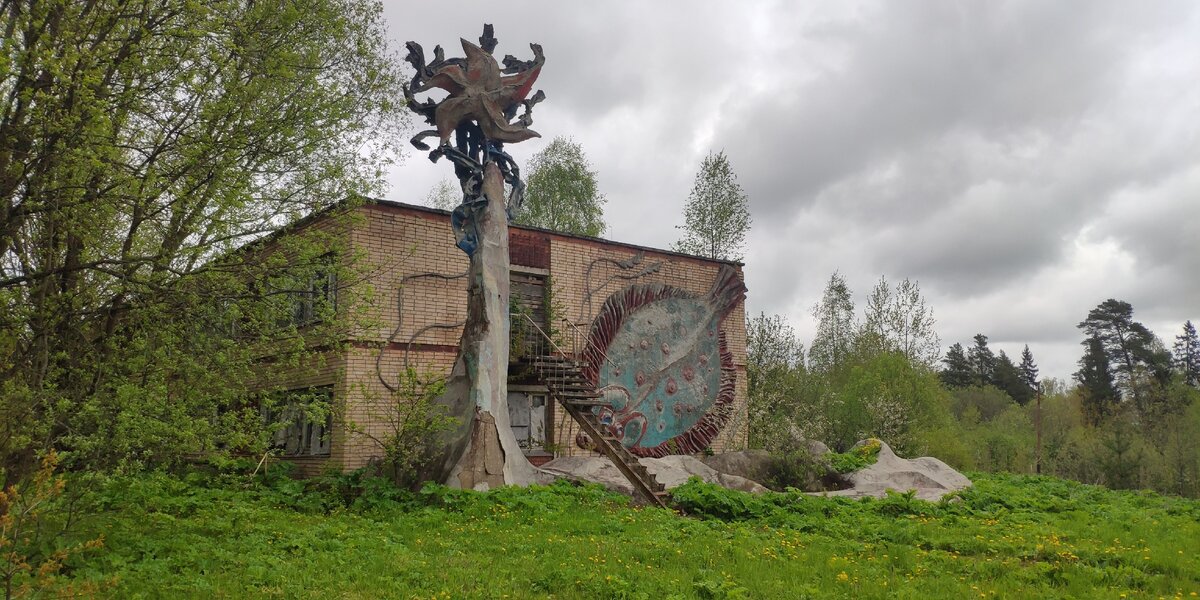 Морские звезды и камбалы в лесах Подмосковья. Фото автора