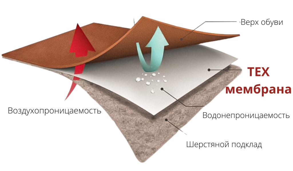 Мембрана в обуви. Мембрана hard Tex. Мембрана Gore-Tex. Мембранная ткань слои.