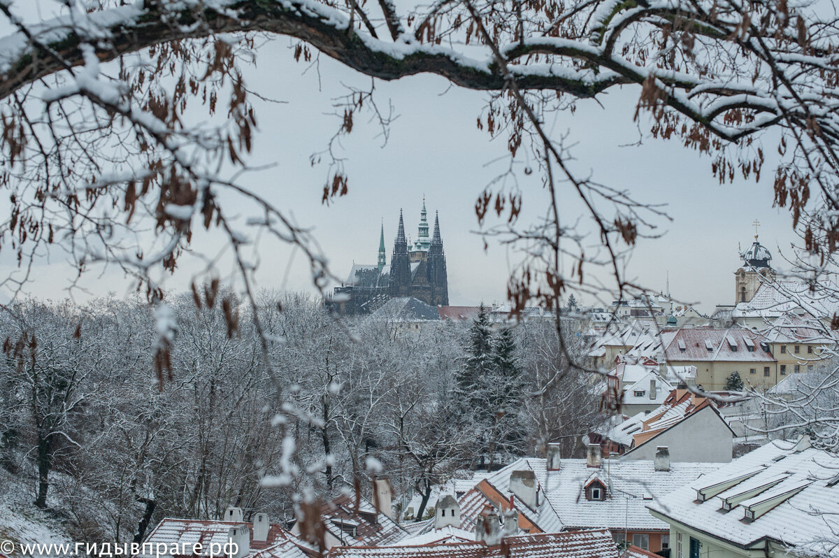 Собор Святого Вита в Праге