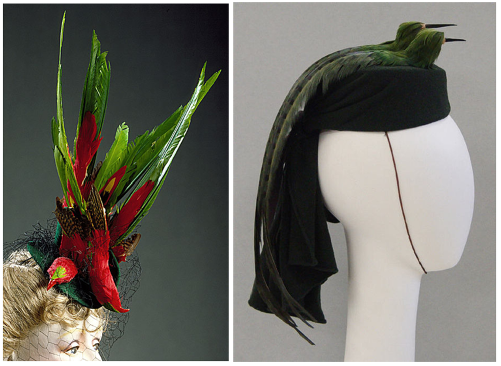 1910 америка шляпы. Шляпки с перьями райских птиц. Шляпка птицы. Шляпки для скачек. Шляпка птицы.