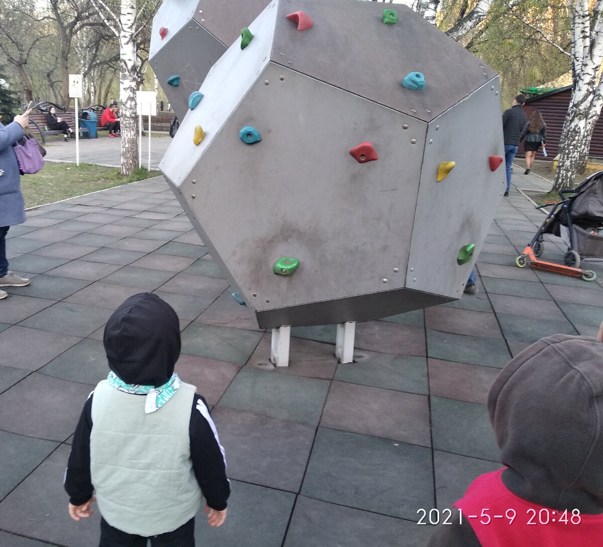 Два воробышка думают, для чего нужна эта штука. Да, я фотограф от бога и не спорьте.