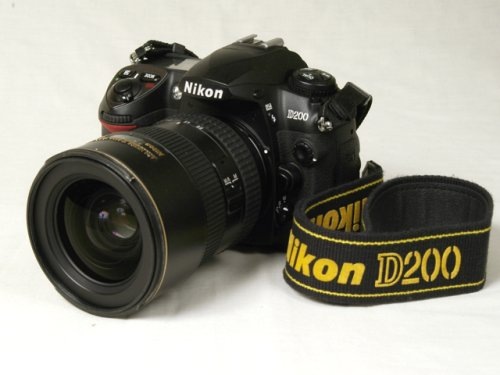Фото из интернета. 