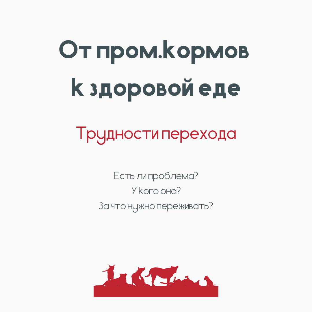 Трудности перехода на здоровое питание возникают у хозяев чаще, чем у собак)