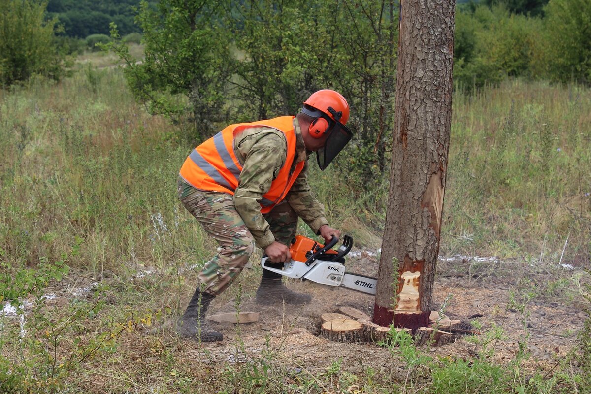 Картинка из Яндекса
