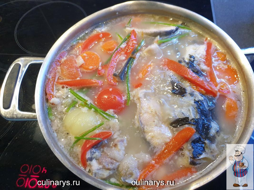 Уха из головы толстолобика