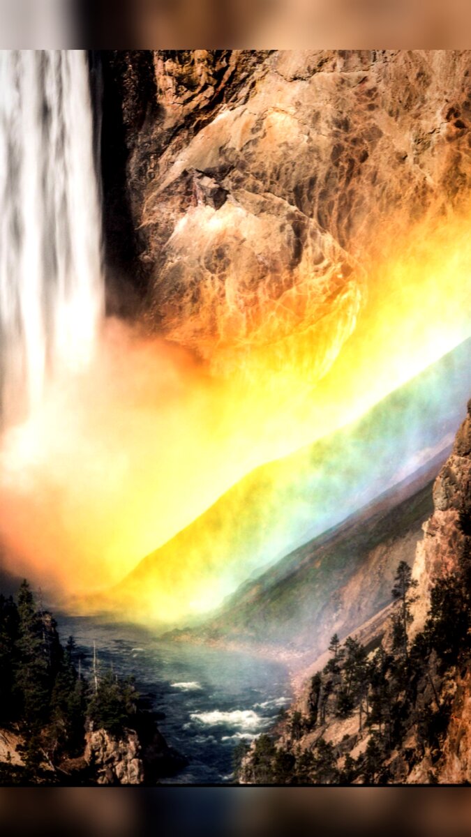 Фото с сайта https://clck.ru/W9R3r