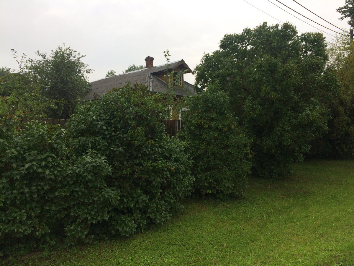 Это наш деревенский дом. Фото автора