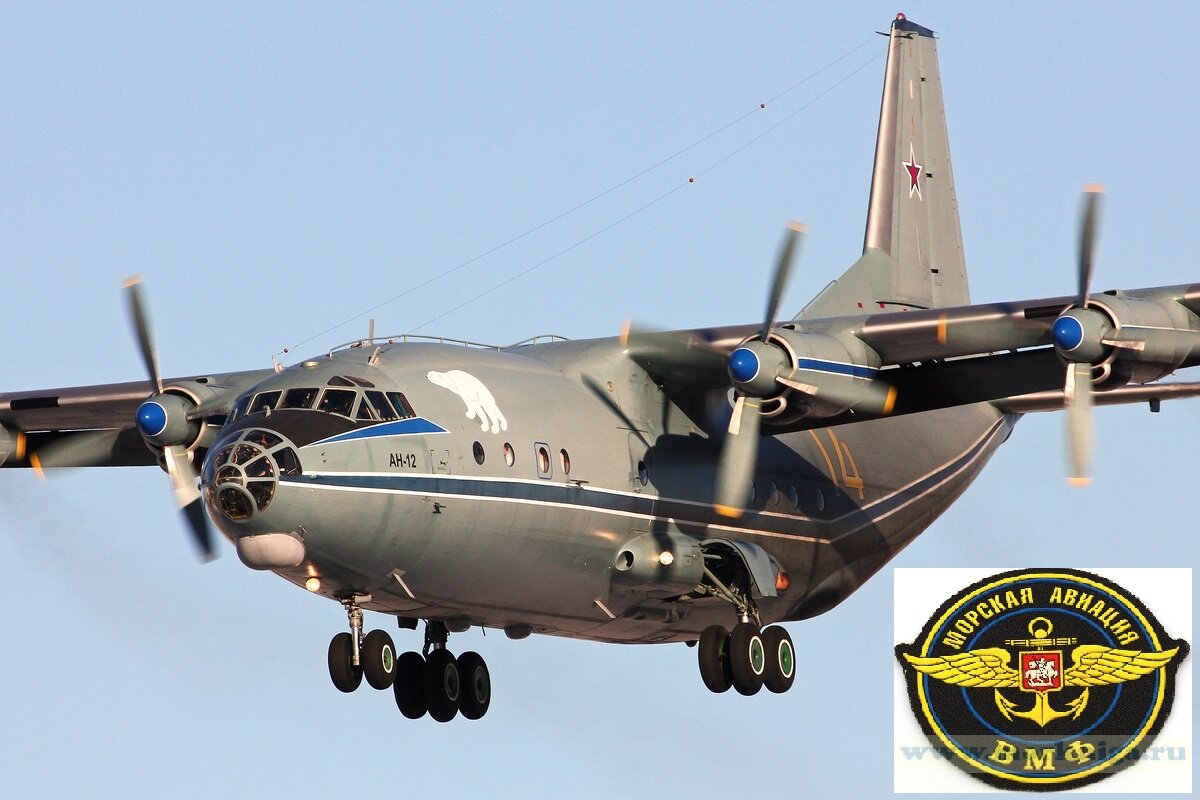 Изображения взяты из открытых источников интернета