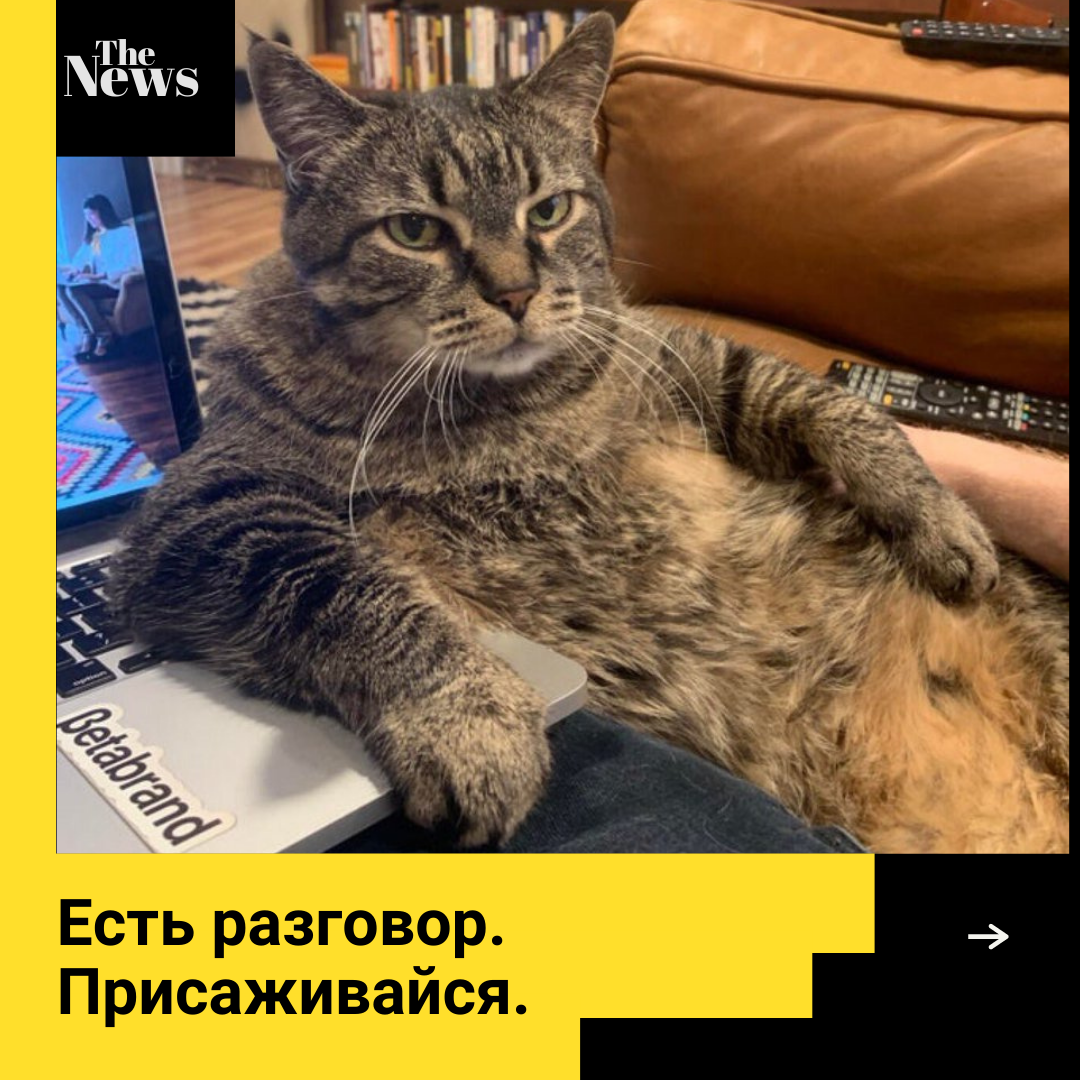 Ну и где же вы прячете корм?