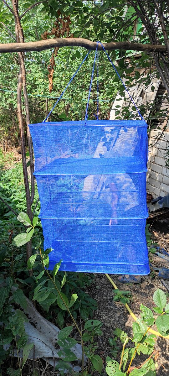 Вот такая сушилка