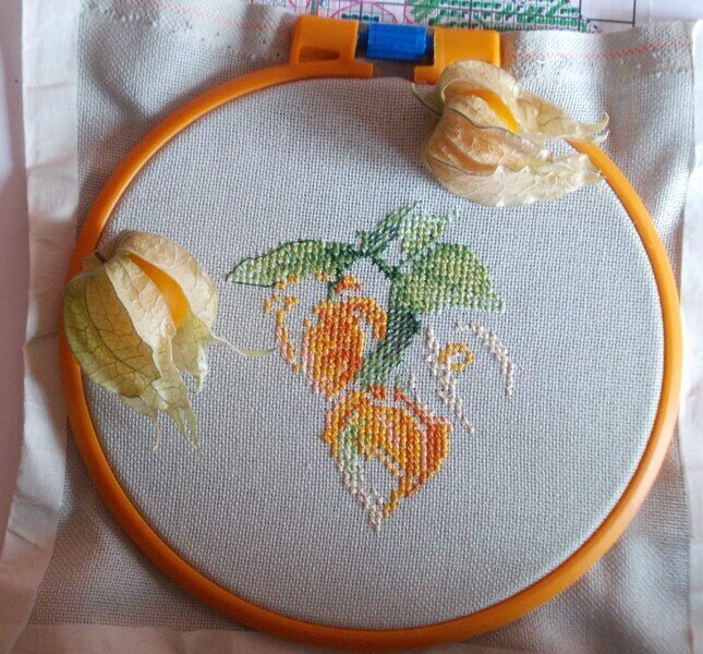 От вышивки этого набора я получаю удовольствие. Даже в порыве вдохновения купила и попробовала впервые в жизни настоящий физалис. Правда, до финиша он не дотянул...