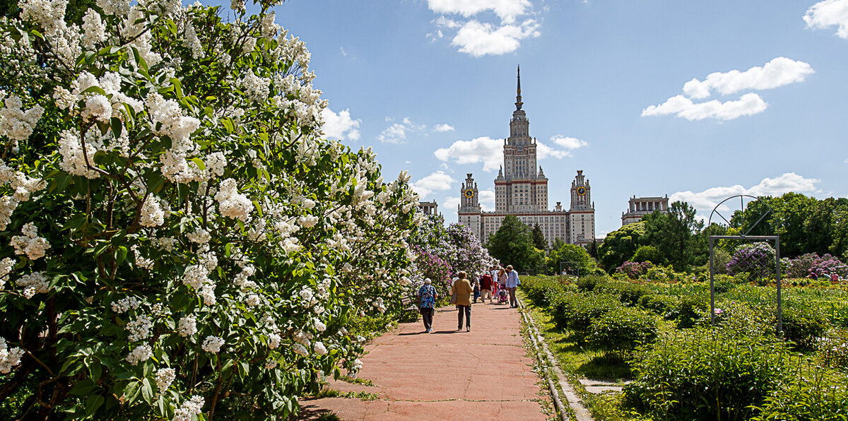 Фото: Александр Бурый